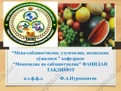 sabzavot ekini isrofelari — PPT