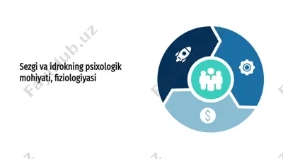 sezgi va idrokning psixologik mohiyati, fiziologiyasi — PPTX