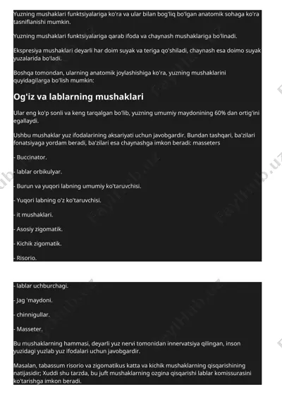 yuzning mushaklari — DOC