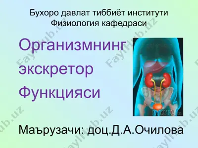 fizioterapiya fanlari — PPT