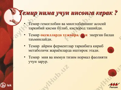 temir — PPT