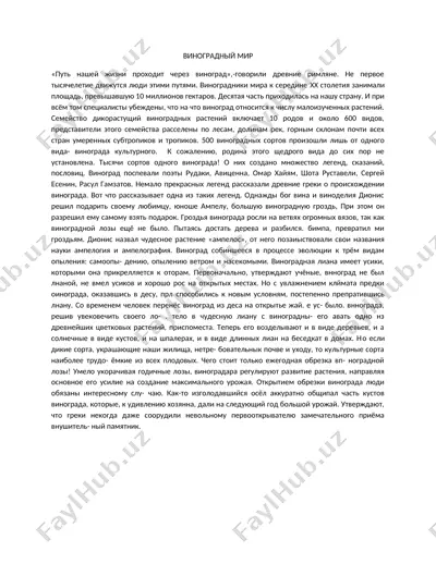 виноградный мир — DOC