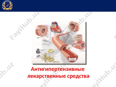 антигипертензивные лекарственные средства — PPT