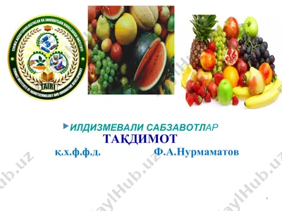 илдизмевалисабзавотлар — PPT
