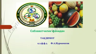 issiqxonasharoitida innovatsion usulida qovunyet ishtiroq tekhnologiyasi — PPTX