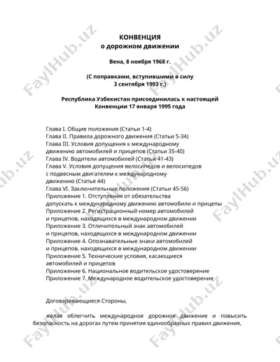 конвенция о дорожном движении — DOC