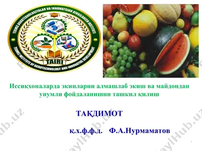 иссиқхоналарда экинларни алмашлаб экиш ва майдондан унумли фойдаланишни ташкил қилиш — PPT