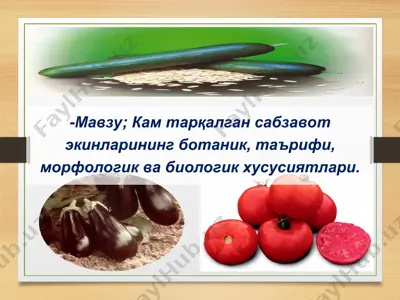 kam tarqalgansabzavot ekini — PPT