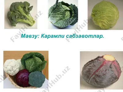 karamli sabzavotlar — PPT
