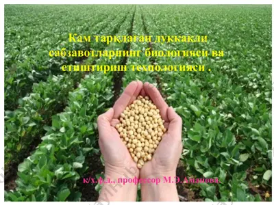 кам тарқлаган дуккакли сабзавотларнинг биологияси ва етиштириш технологияси — PPTX