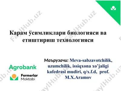 karam ўsimliklari biologiyasi va etishtirish texnologiyasi — PPT