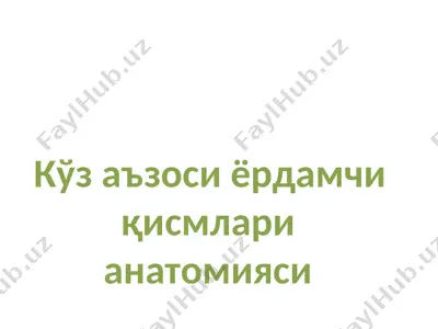 kўz aъzosi ёrdamchi qismlari anatomiysi — PPT