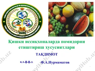 pomidorlarni issiqxonalarida e'tishishni o'rganish hususiyatlari — PPT