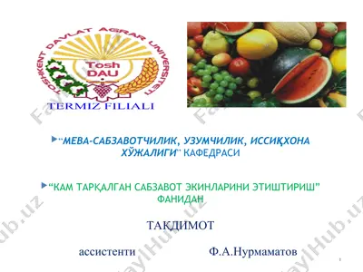 kam tarқalgan sabzavot ekinlarini etishtirish — PPT