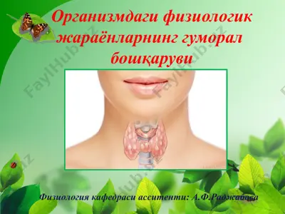 organizmdagi fiziologik jarayonlarning gumoral boshqarishi — PPT