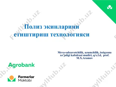 poliz ekinlarini etishtirish texnologiyasi — PPT