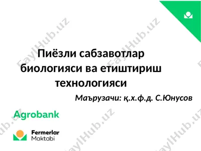 пиёзли сабзавотлар биологияси ва етиштириш технологияси — PPT