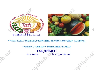 meva-sabzavotchilik, uzumchilik, issiqxona xo’jaligi — PPT
