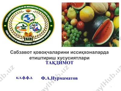 сабзавот қовоқчаларини иссиқхоналарда етиштириш хусусиятлари — PPT