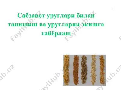 sabzavot uroglari bilan tanishish va uroglarni ekishga tayyorlash — PPT