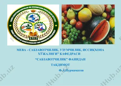 tўқсонбости муддатда сабзавотларни етиштириш хусусиятлари — PPT