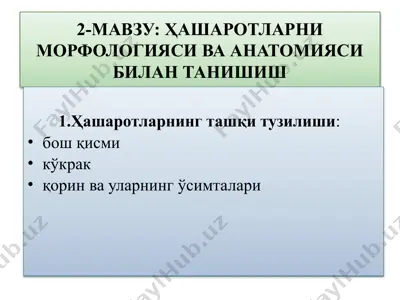 ҳашаротларни морфологияси ва анатомияси билан танишиш — PPTX