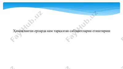meva-sabzavot mahsulotlari — PPTX