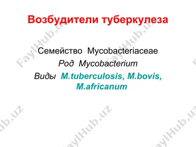 возбудители туберкулеза — PPT