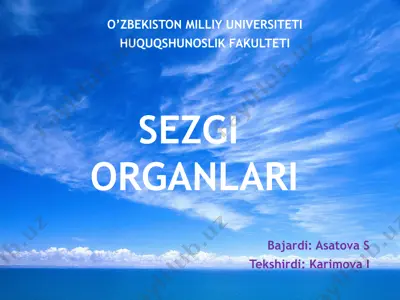 sezgi organlari — PPTX