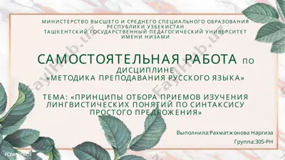 методика преподавания русского языка — PPTX