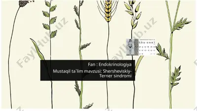 shershevskiy-ternersindromi — PPTX