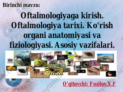 oftalmologiya — PDF