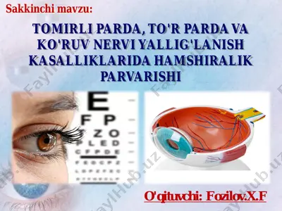 tomirli parda, to'r parda va ko'ruv nervi yallig'lanish kasalliklari — PDF