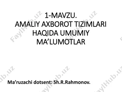 amaliy axborot tizimlari haqida umumiy ma'lumotlar — PDF