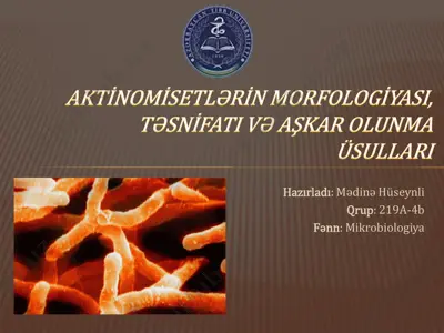 aktinomisetlərin morfolojiyasi — PDF