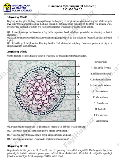 olimpiada topshiriqlari (iii bosqichi) biologiya 10 — PDF