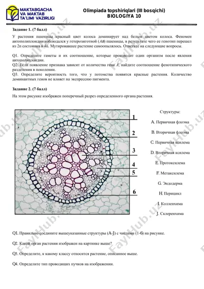 olimpiada topshiriqlari (iii bosqichi) biologiya 10 — PDF