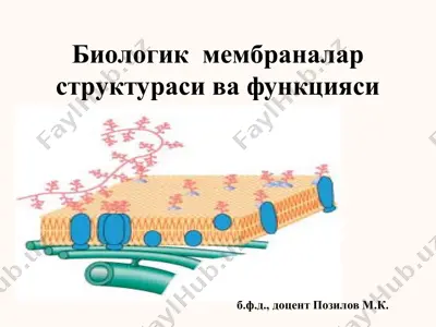 biologik membranalar — PDF