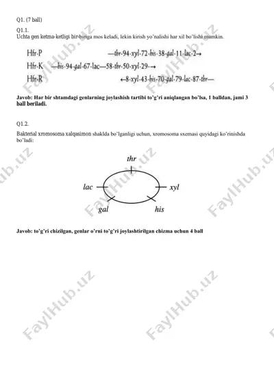 genetika sinov testi — PDF