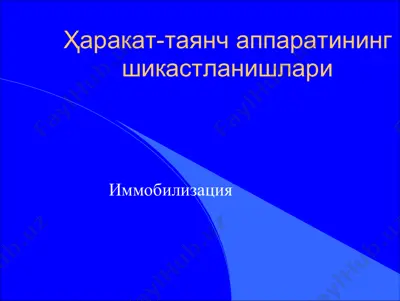 imobilizatsiya materiallari — PDF