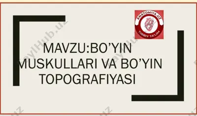bo'yin uskullari va bo'yin topografiyasi — PDF