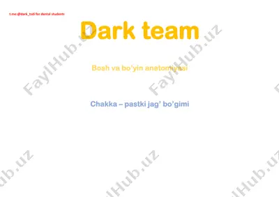 bosh va bo’yin anatomiyasi — PDF