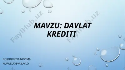 davlat krediti — PPTX
