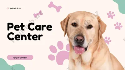 salford & co pet care center — PDF