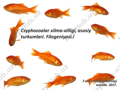 suyak-tog‘ayli baliqlar — PDF