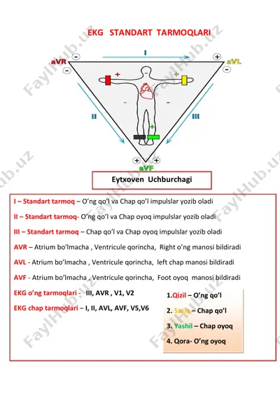 ekg standart tarmoqlari va ko'krak tarmoqlari — PDF