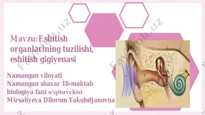 eshitish organlarining tuzilishi, eshitish gigiyenasi — PDF