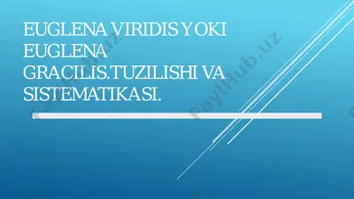 euglena viridis yoki euglena gracilis. tuzilishi va sistematisasi. — PDF