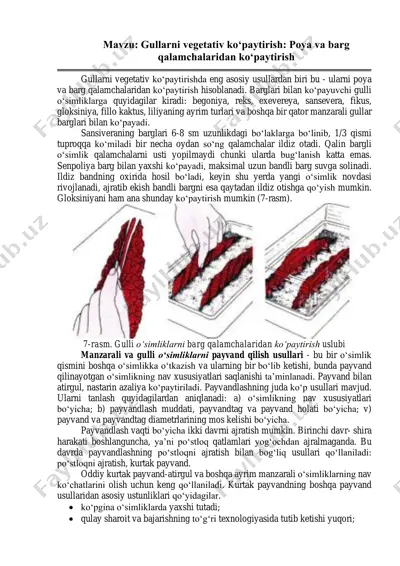 gullarni vegetativ ko‘paytirish: poya va barg qalamchalaridan ko‘paytirish — PDF