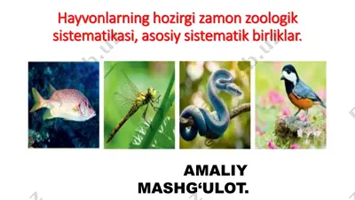 hayvonlarning zamonaviy zoologiya sistematikasi — PDF